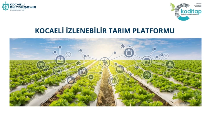 KODİTAP