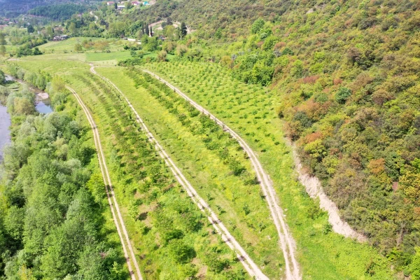 Paşadağ Döküm Park