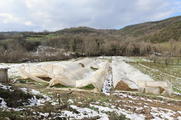 Afetten Zarar Gören Çiftçilere Destek