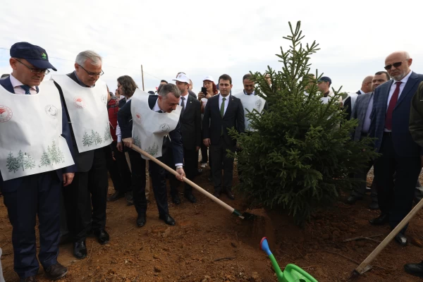 Ağaçlandırma