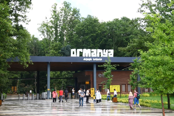 Ormanya