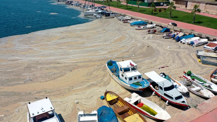 Müsilaj Mücadelesi