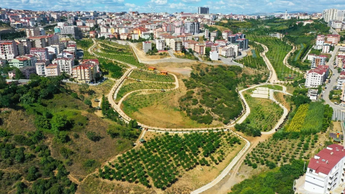 Ağaçlandırma