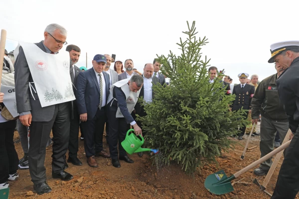 Ağaçlandırma