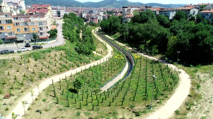 Ağaçlandırma