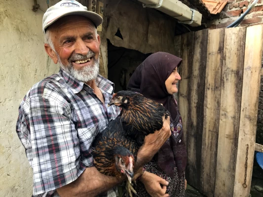 Doğal Salma Yumurta Tavukçuluğu