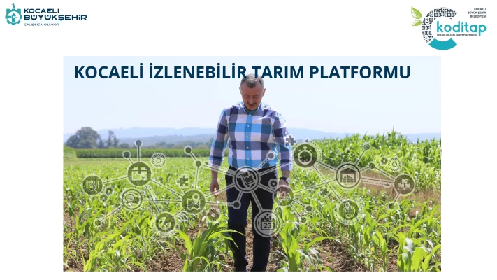 KODİTAP
